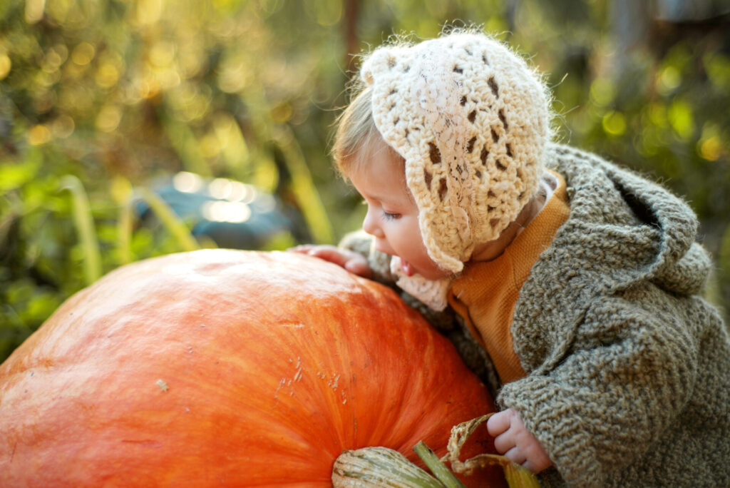 Toddler with pumpkin